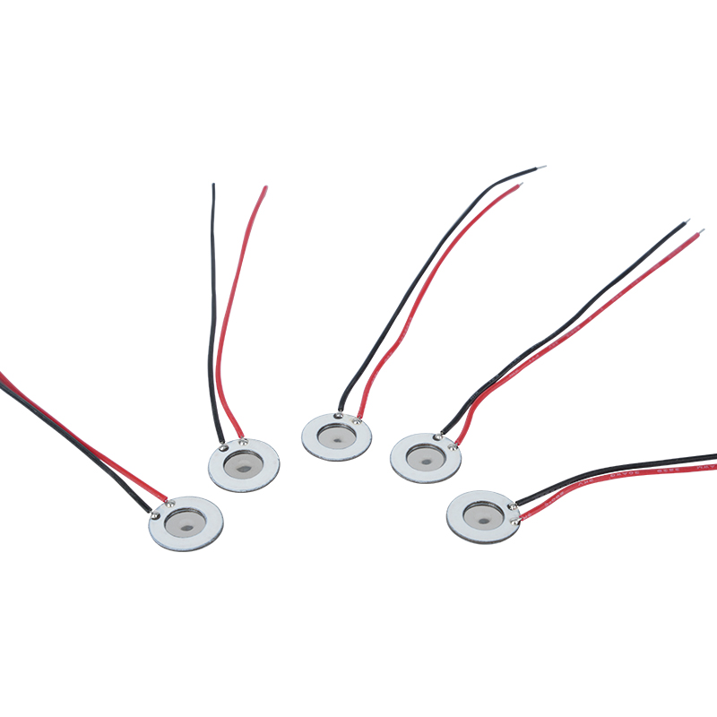 10mm rustfrit stål mikroporøs forstøver Skønhed Hydration Instrument Oral Spray Parfume Spray Befugtning Desinfektion Mesh Atomizer Gælder også for elektronisk rygestop-enhed og andre produkter